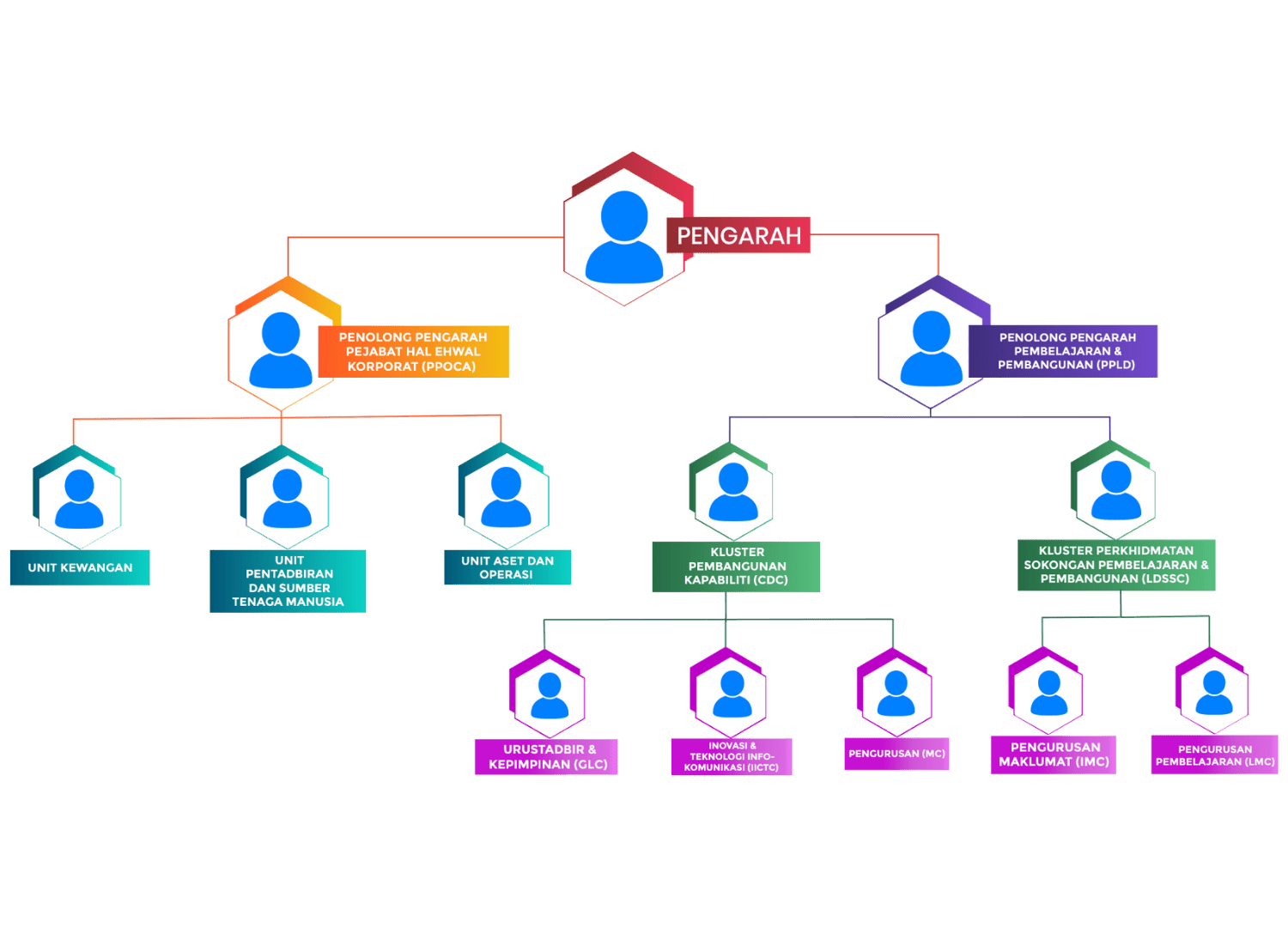 infographic structure